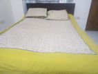 Full Furnished Room with food available