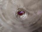 Full Moon Fighter Fish And Placket Fight Available Delivery Possible