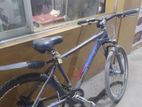 Phoenix Bicycle for Sale