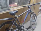 Phoenix Bicycle for Sale