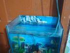 Aquarium