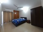 fully furnish 3 bedroom apt in gulshan