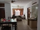 fully furnish apt available in banani