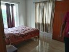 fully furnish apt rent in Gulshan
