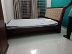 Fully Furnished 3 Bedroom Apt. Rent in Gulshan