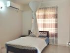 Fully furnished apartment for rent banani