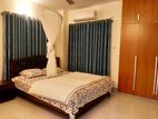 fully furnished apartment for rent Gulshan