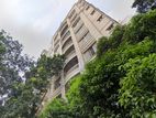 Fully Furnished Apartment in Banani