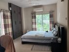 Fully Furnished Apartment Rent In Banani North