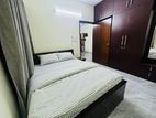 Fully Furnished Brand New Apt: Rent In Gulshan