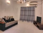 Fully-Furnished Exclusive Flat Rent in Baridhara