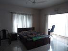 FULLY FURNISHED FLAT RENT @ GULSHAN