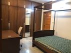 Fully Furnished Luxurious Apartment For Rent