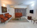 Furnished apartment 2200sft for forigner only.