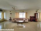 Furnished apartment Rent in Baridhara diplomatic