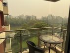 Furnished with luxury furniture apartment for rent in Gulshan north