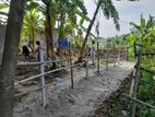 গাজীপুরে নিজের ৬.২৫ শতাংশ আবাসিক জমি বিক্রয়