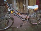 Bicycle for sell