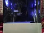 Gaming Pc For Sale