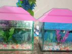 Gappy And Moli Fish Running