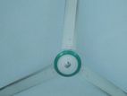 Gazi ceiling fan