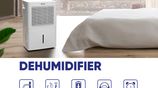 GD-30NL || Gree Brand Dehumidifier 30 Liter in Bangladesh.