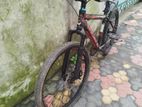Duranta Bicycle for sale