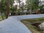 Geo sheet /জিও কম্বল