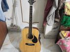 Gerg Bennett Acoustic Guitar (Indonesia)