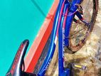 Get A Stylish Blue Coloured ,thin Cycle Suitable For (11-18)years Old.