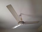 GFC ceiling fan for sell