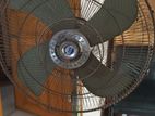 GFC Pakistani Stand Fan 24"