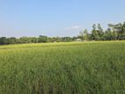 ঘেরের জমি