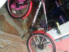 Bicycle for sell