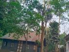 ঘড়/ গোডাউন ভাড়া দেওয়া হবে