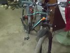 Bicycle for sell