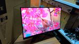 GIGABYTE 24" IPS BORDERLESS GAMING MONITOR WITH BOX