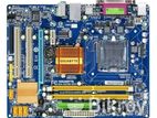 Gigabyte G31 Motherboard Korean Wholesale