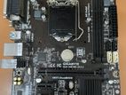 Gigabyte H81 Motherboard