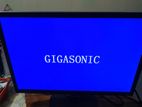 Gigasonic 19 inch Monitor