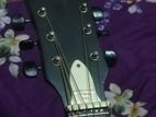 giter for sell