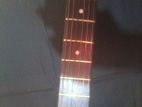 Guiter for sell