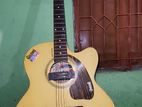 givson agustic guiter