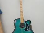 Givson Guitar Venus Super Special (limited Edition)