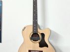 Givson Rosewood Guitar