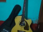 Givson Venus Electric Acoustic Guitar