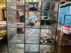 Glass Display rack for sale