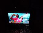 Gold Vision Tv Bikri Hobby