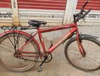 Golden Max Bicycle