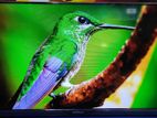 GOLDTOUC-32-Inchi Android Borderless TV Full Fresh